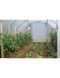 Serre de jardin - Gothique 4m50 x 12m00