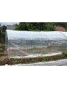 Abri tomates pieds droits 3m00 x 4m50