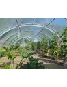 Serre de jardin professionnelle 5.80m x 12m | Serres Tonneau