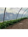 Serre de jardin professionnelle 5.80m x 9m | Serres Tonneau Serre de jardin professionnelle 5.80m x 9m | Serres Tonneau