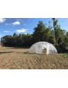 Serres professionnelles tunnels 6,50m x 36m | Serres Tonneau