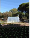 Serre de jardin 3 x 4.5m cultivez la tomate | Serres Tonneau