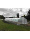 Serre maraîchère à pieds droits 5m x 10.5m|Serres Tonneau