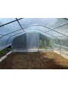 Serre maraîchère à pieds droits 5m x 10.5m|Serres Tonneau