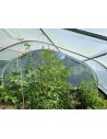 Vue intérieure Serre Tonneau  largeur 5m