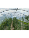 Serre Tonneau 4 Saisons Plus, vue intérieure, longueur 12m, largeur 4m, vue intérieure, culture de tomates.