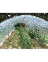 Bâches enterrée pour Serre Abri-tomates, pieds droits, 3 m X 3 m | Serres Tonneau