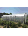 Bâches enterrée pour Serre Abri-tomates, pieds droits ou arrondie, 3 m X 3 m | Serres Tonneau