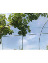 Bâche polyéthylène thermique, serre Gothique largeur 4.50 m , longueur 3m | Serres Tonneau