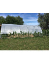 Bâche, polyéthylène thermique serre Gothique, largeur 4.50 m , longueur 3m | Serres Tonneau