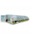 Serre de jardin professionnelle 5.80m x 9m | Serres Tonneau Serre de jardin professionnelle 5.80m x 9m | Serres Tonneau