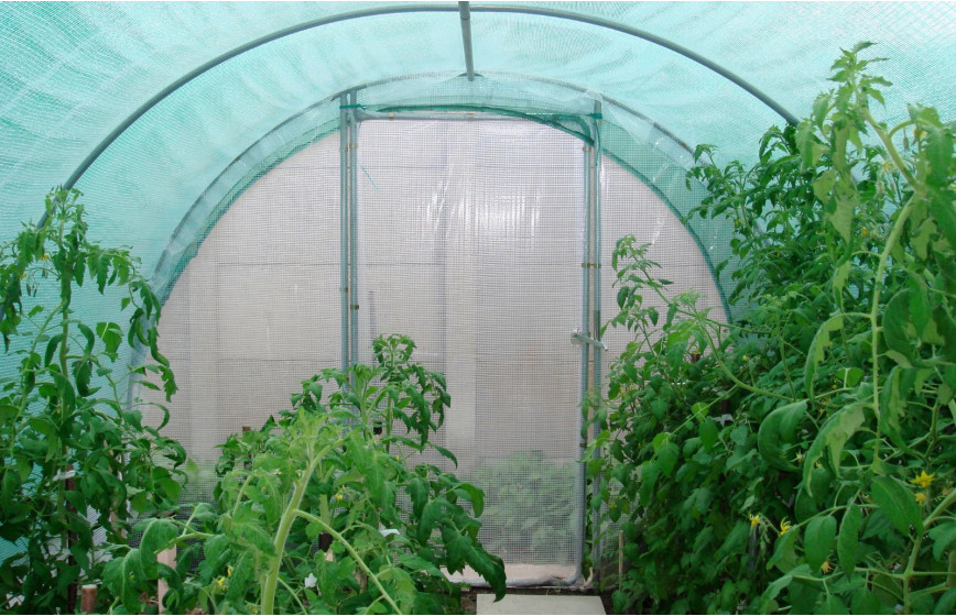 OMB002-120  - Filets d'ombrage pour serres Mini OMBRAGE MINI, 4 SAISONS, JARDINIERE, ESSENTIELLE, ABRI-CULTURES, LEGUMES, TOMATE