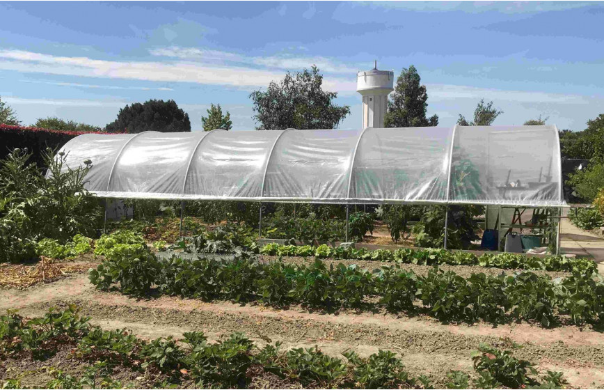 Serre de jardin arrondie 3,70 x 9m - 33,3m² | Serres Tonneau Serre de jardin arrondie 3,70 x 9m - 33,3m² | Serres Tonneau