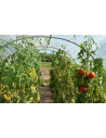 Serre de jardin arrondie 3,7m x 10,5m - 38,85m²|Serres Tonneau