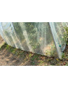 Serre de jardin arrondie 3,7m x 10,5m - 38,85m²|Serres Tonneau