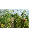 Serre de jardin arrondie 3,7m x x12m - 44,4m²|Serres Tonneau