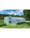 Serre maraîchere à pieds droits 5m x 4.5m |Serres Tonneau