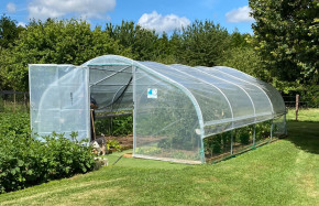 Serre maraîchère à pieds droits 5m x 10.5m|Serres Tonneau