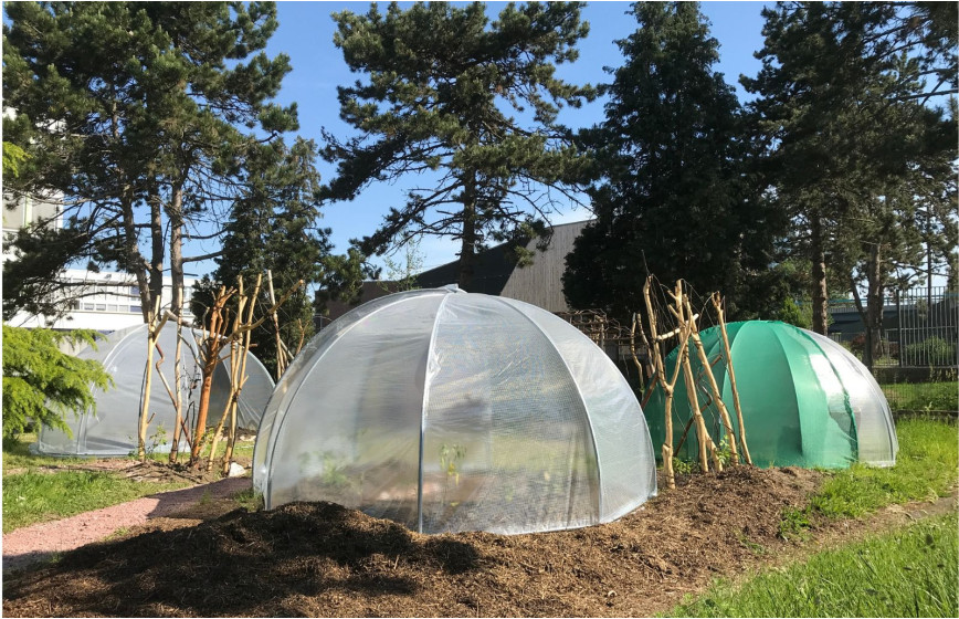 Serre Igloo acier diamètre 30mm