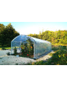 Serre tunnel pour tomates  3m x 3m | Serres Tonneau Serre tunnel pour tomates  3m x 3m | Serres Tonneau