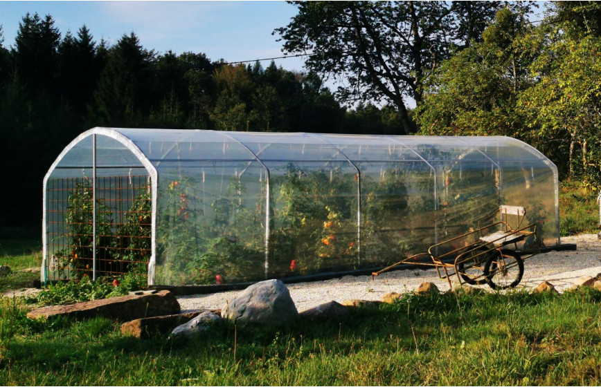 Serre Tonneau modèle abri tomates, longueur 7.50m.