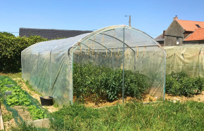 Serre à tomates 3m x 10,5m | Serres Tonneau