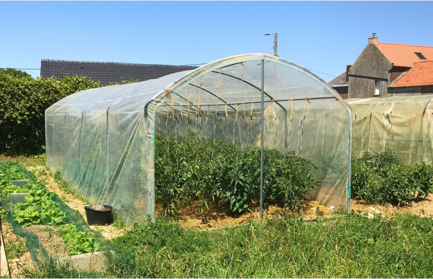 Serre à tomates 3m x 12m | Serres Tonneau