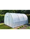 Serre de jardin 3 x 8m culture de la tomate | Serres Tonneau