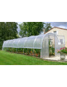 Serre de jardin 3 x 8m culture de la tomate | Serres Tonneau