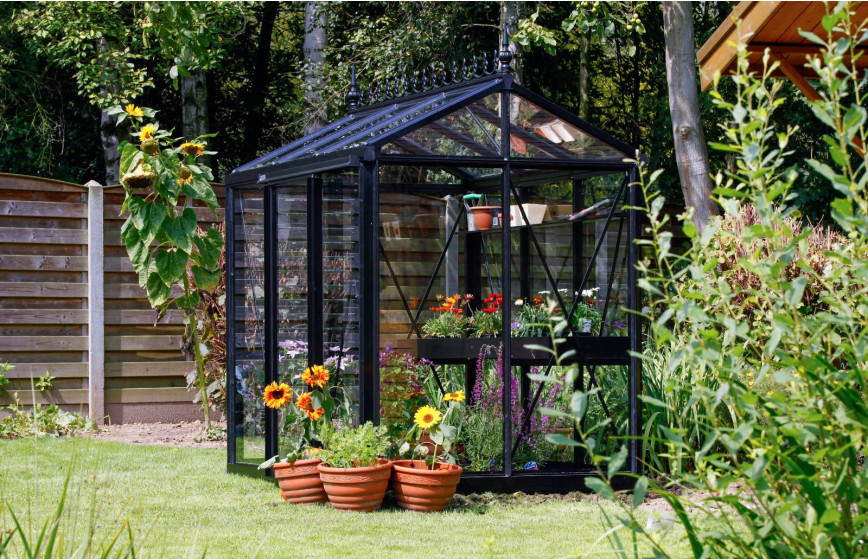 Serre en verre Helios Urban - Couleur de l'aluminium : noir - Décorations faitières non incluses