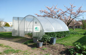 SERRE GOTHIQUE 4m50 x 4m50
