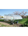 SERRE GOTHIQUE 4m50 x 4m50
