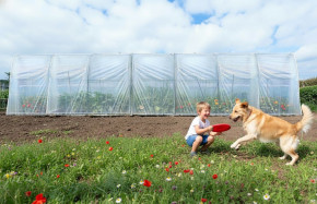 Serre tunnel avec bâche enterrée 3m x 10,5m | Serres Tonneau