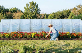 Serre tunnel avec bâche enterrée 3m x 12m | Serres Tonneau