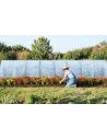 Serre tunnel avec bâche enterrée 3m x 12m | Serres Tonneau