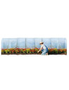Serre tunnel avec bâche enterrée 3m x 12m | Serres Tonneau