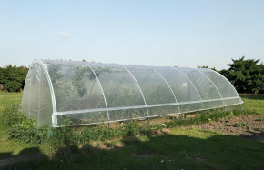 Serre Tonneau  Gothique - largeur 4.50m hauteur 2.30m - largeur de porte 1.35m - longueur 9m -