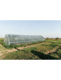 Serre de jardin - Gothique 4m50 x 12m00