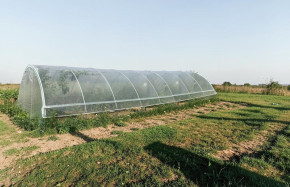 SERRE GOTHIQUE 4m50 x 12m00