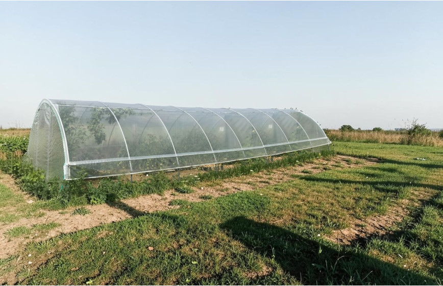 SERRE GOTHIQUE 4m50 x 12m00