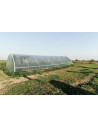 SERRE GOTHIQUE 4m50 x 12m00