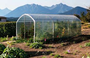 Serre à tomates 3m x 4,5m | Serres Tonneau