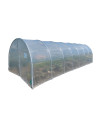 Serre tunnel avec bâche enterrée 3m x 10,5m | Serres Tonneau