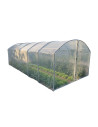 Serre tunnel 3m x 7.5m pieds droits 2 portes |Serres Tonneau