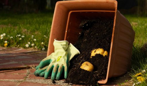 agriculture biologique valoriser les déchets