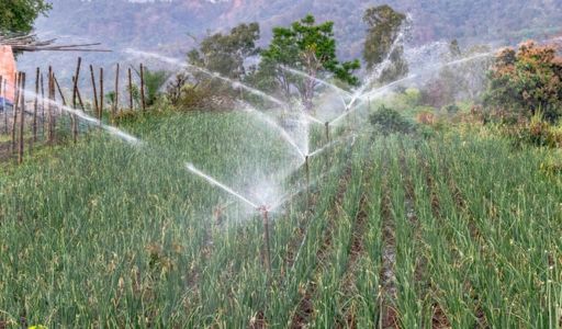 arrosage aspersion interêt