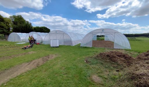 preparation-sol-plantation-oignons