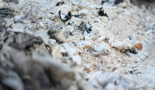 cendre de bois jardin biologique