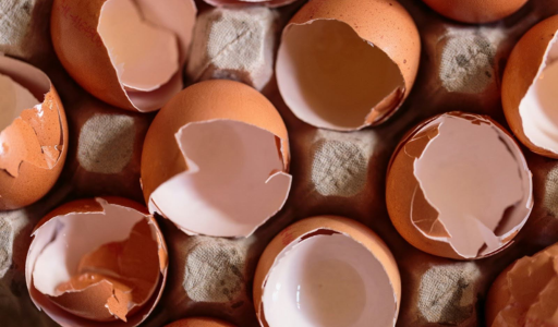 coquilles d'œuf jardin biologique