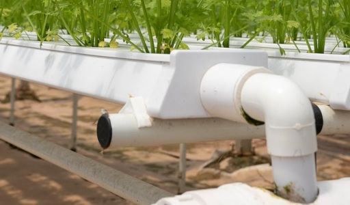 serre hydroponique explications